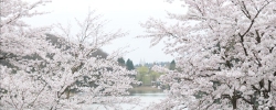 080420001.jpg