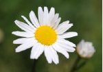 DSC_9623.jpg